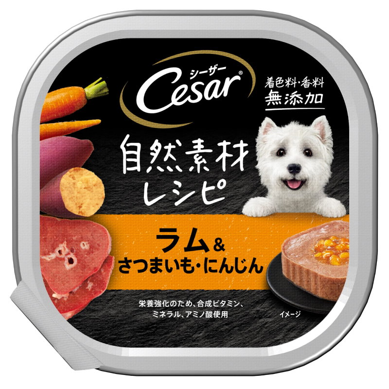 Cesar 西莎