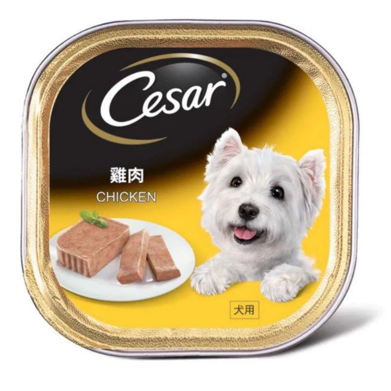 Cesar 西莎