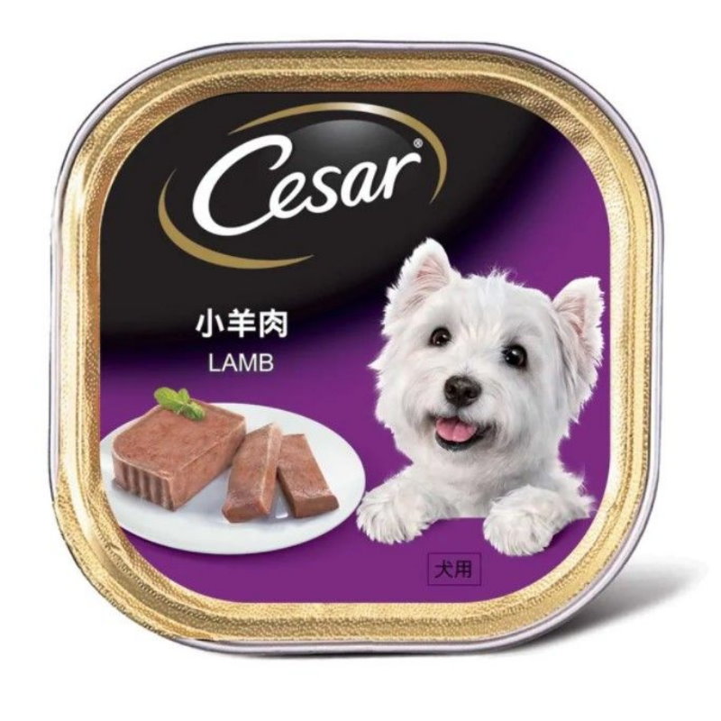 Cesar 西莎