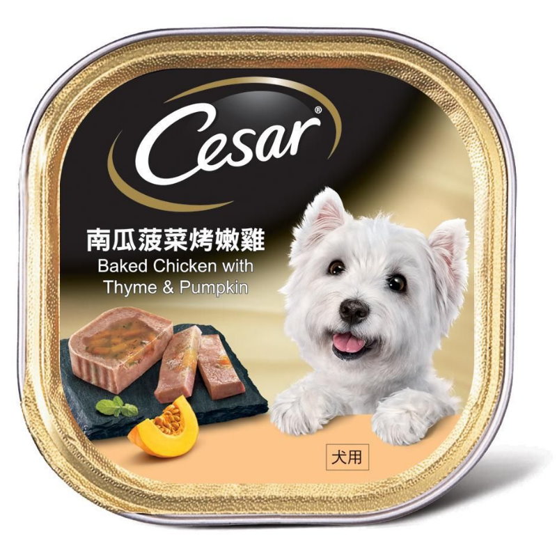 Cesar 西莎