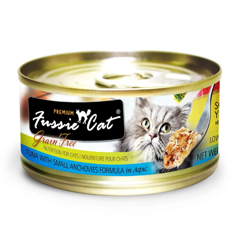 Fussie Cat 高竇貓