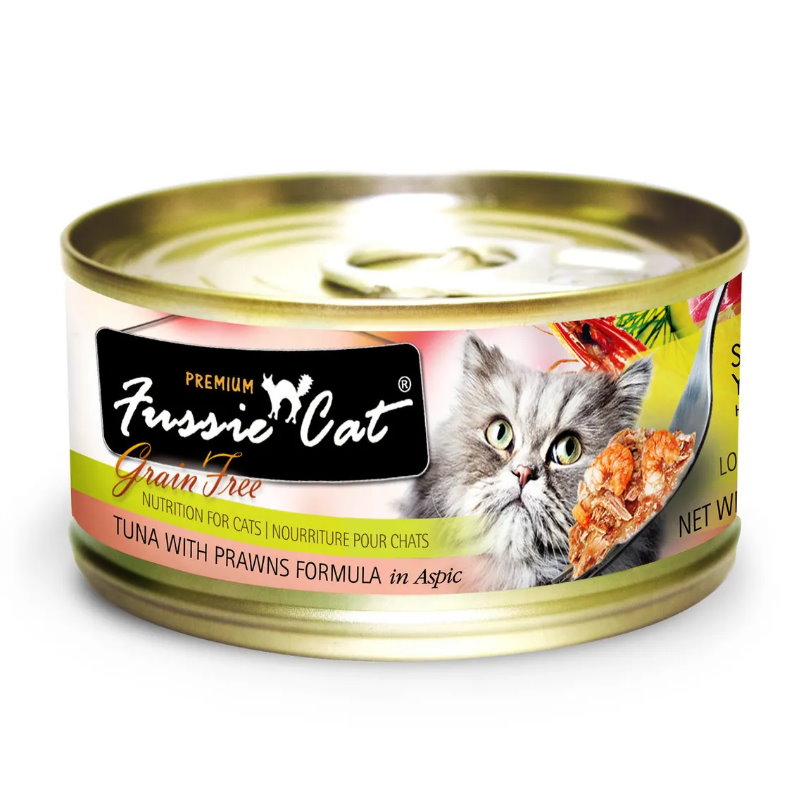 Fussie Cat 高竇貓