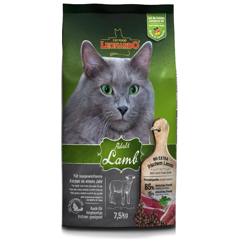 Leonardo 利安納度