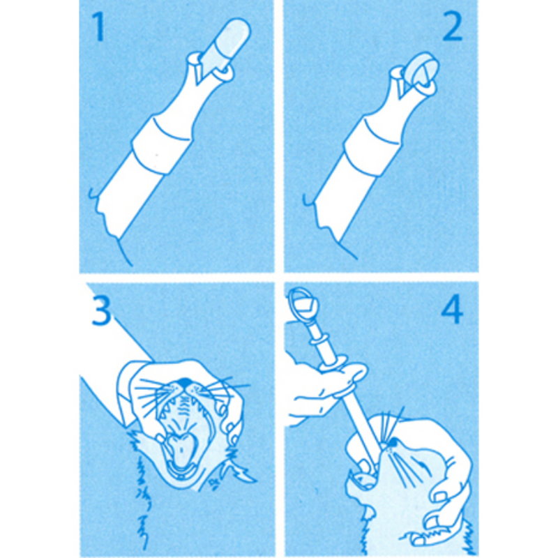 餵藥棒 1支 單支出售