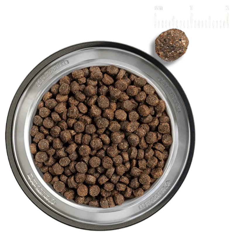 無穀成犬三文魚