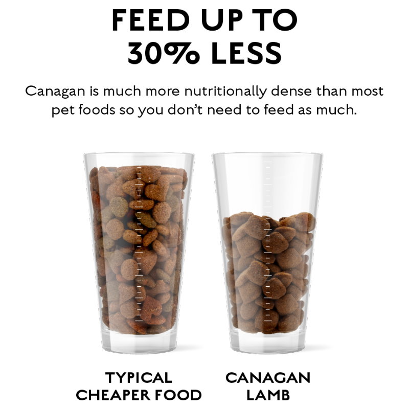 無穀物放牧羊配方（全犬）