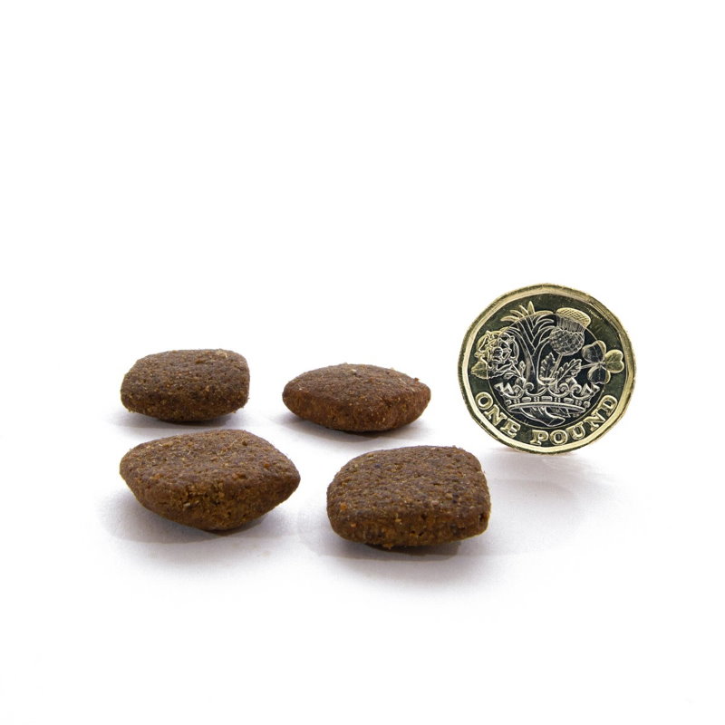 無穀物放牧羊配方（全犬）