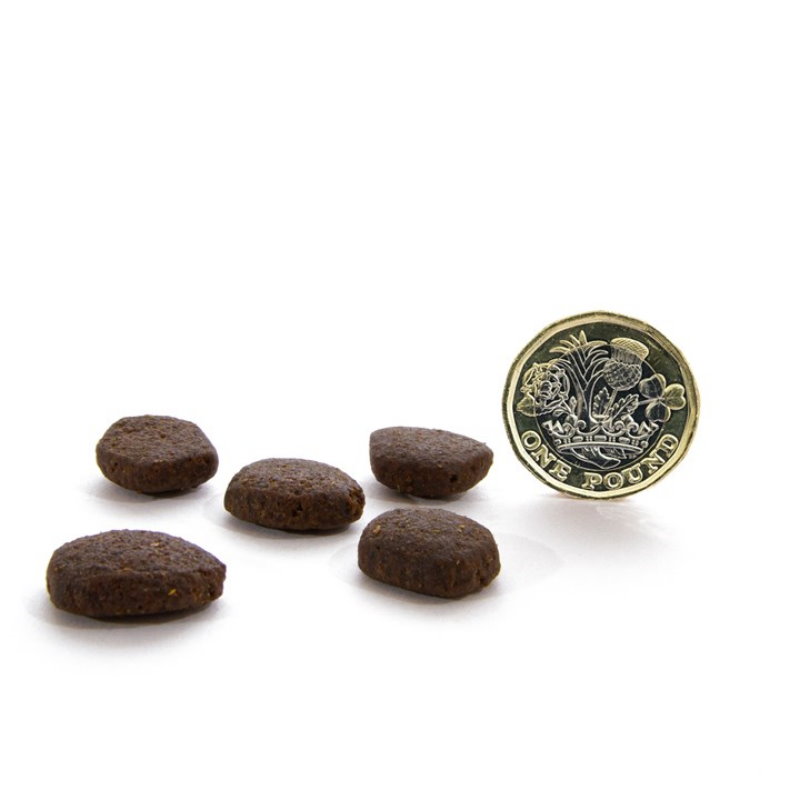 無穀物蘇格蘭三文魚配方（全犬）