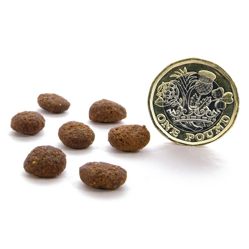 無穀物火雞健齒貓配方