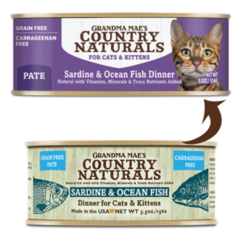 沙甸魚深海魚醬煮配方