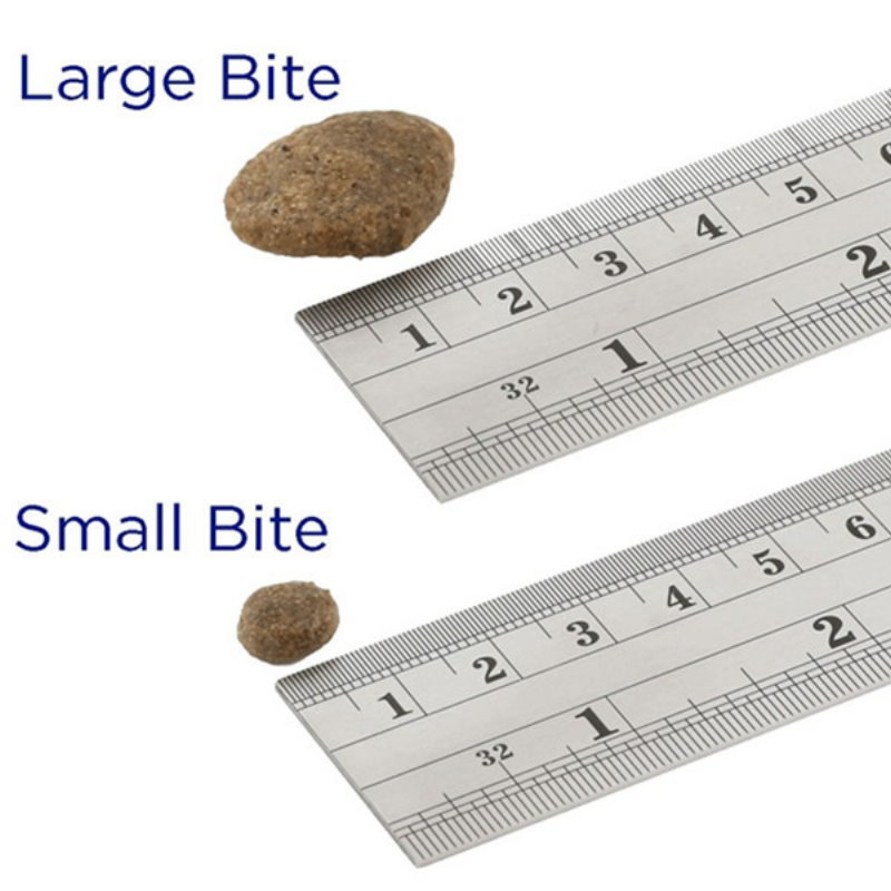 三文魚低敏成犬 (大粒)