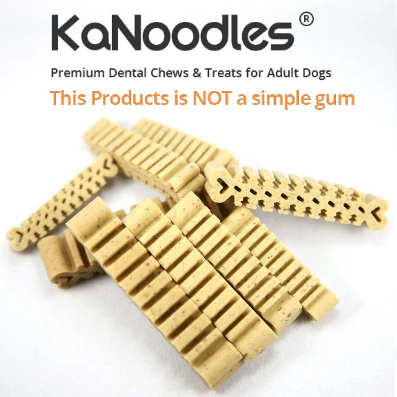 韓國玄米潔牙棒 袋裝 L 16支