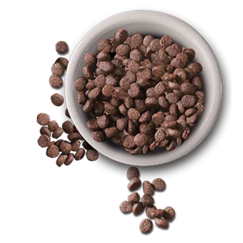 德國天然 成貓海魚配方